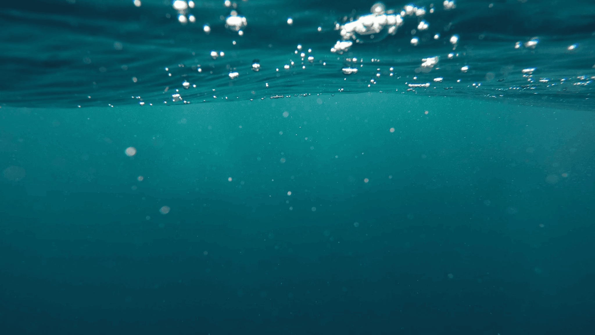 BWT – EuroWater